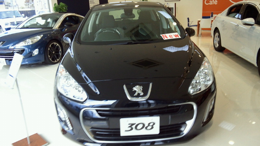 帰ってきた　　♪３０８♪