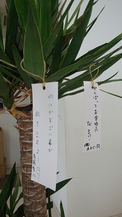 七夕☆☆