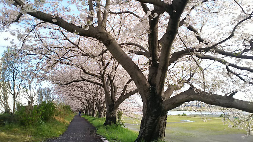 ４月です～