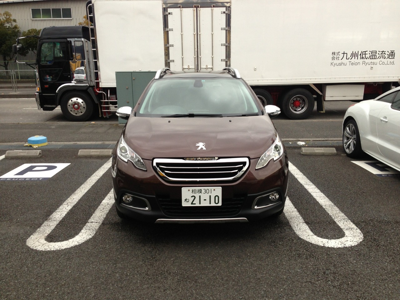 2008遂に入荷！！