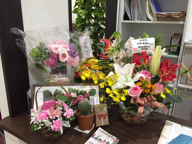 本厚木整骨院OPEN