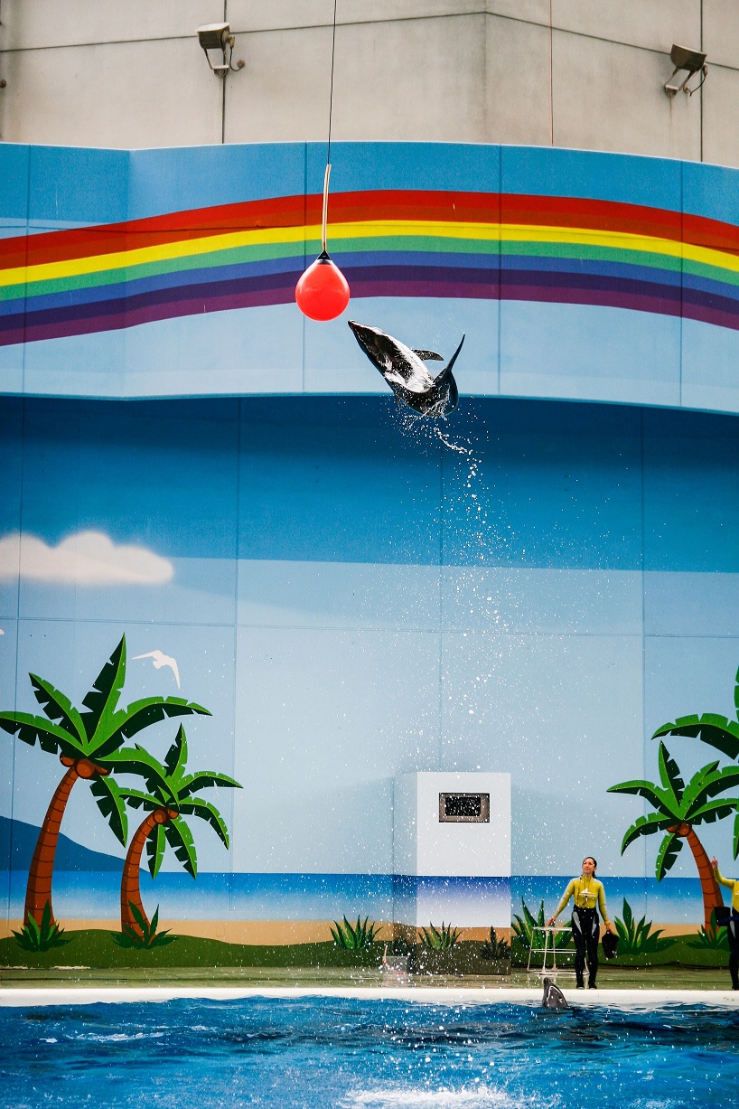 水族館