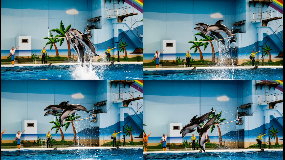 水族館
