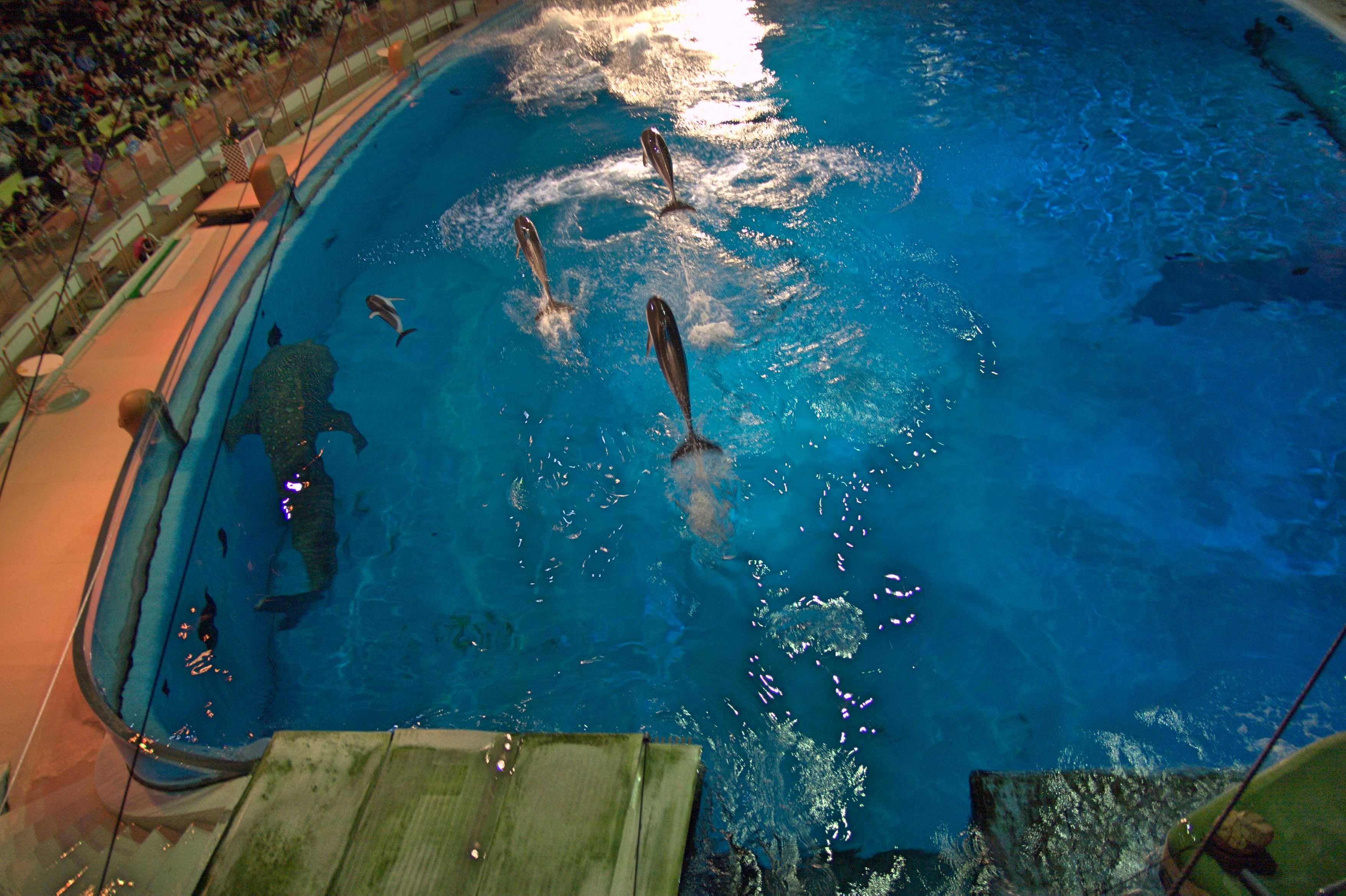 水族館